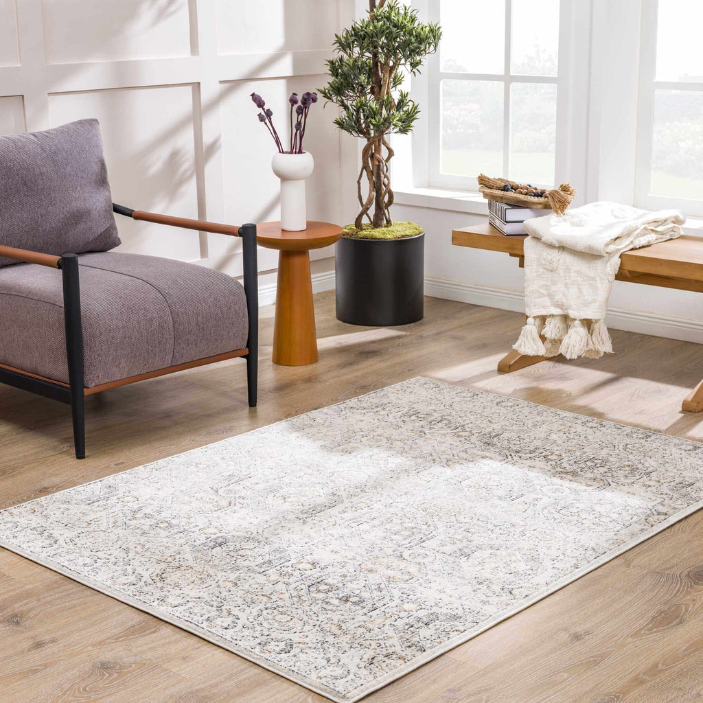Parkerfield Moroccan Farmhouse Area Rug