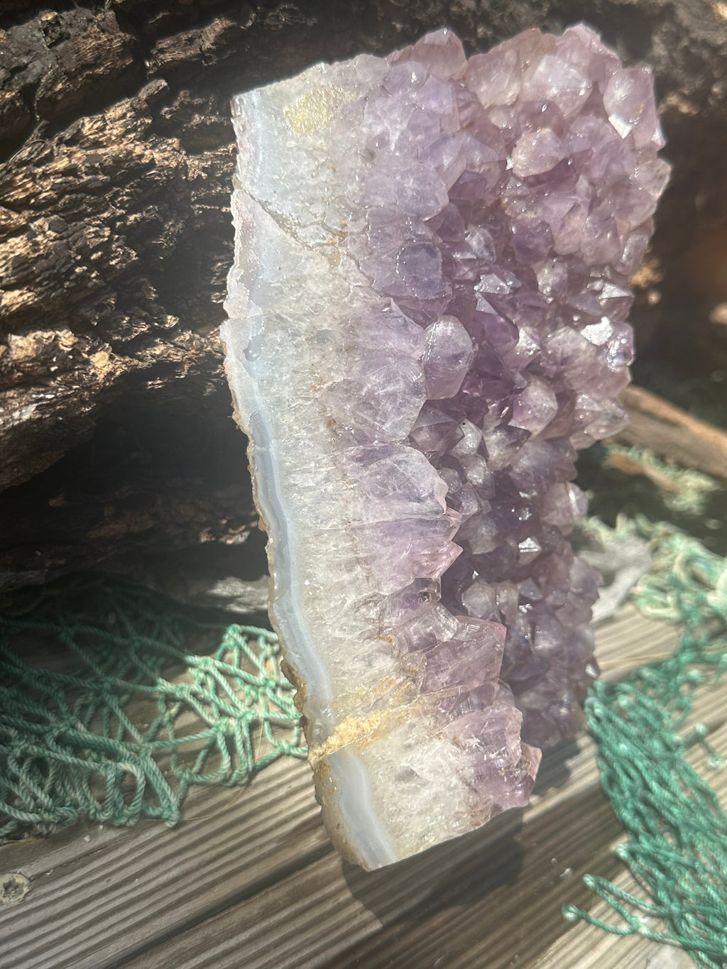 Natural Amethyst Cluster | Raw Purple Quartz Geode | 7.9" x 4.7" | 1.6kg