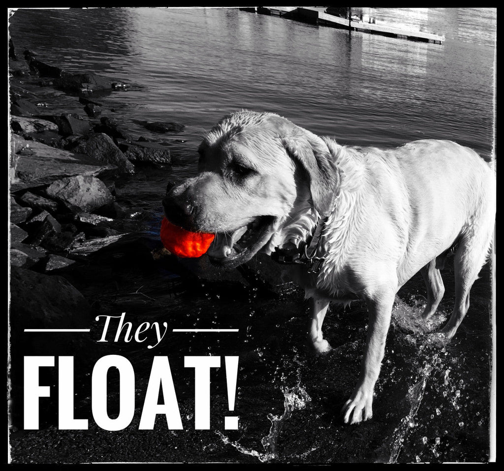 Natural Rubber Fetch Ball for Dogs