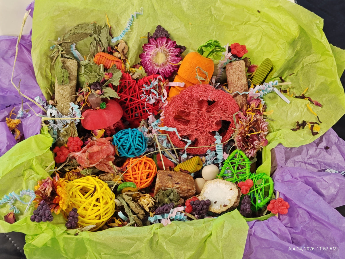 Assorted colorful textured objects on a green and purple fabric background