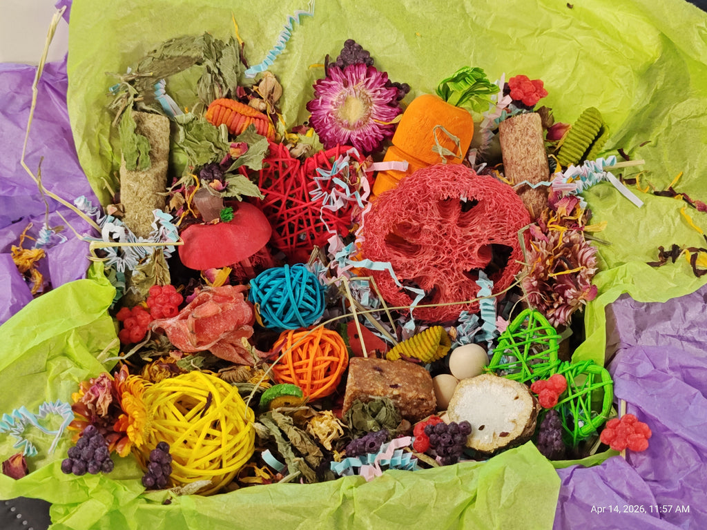 A colorful assortment of dried botanicals, bark pieces, small flowers, and woven decorative balls arranged inside a clear container lined with bright lime green tissue paper and purple paper on the sides.