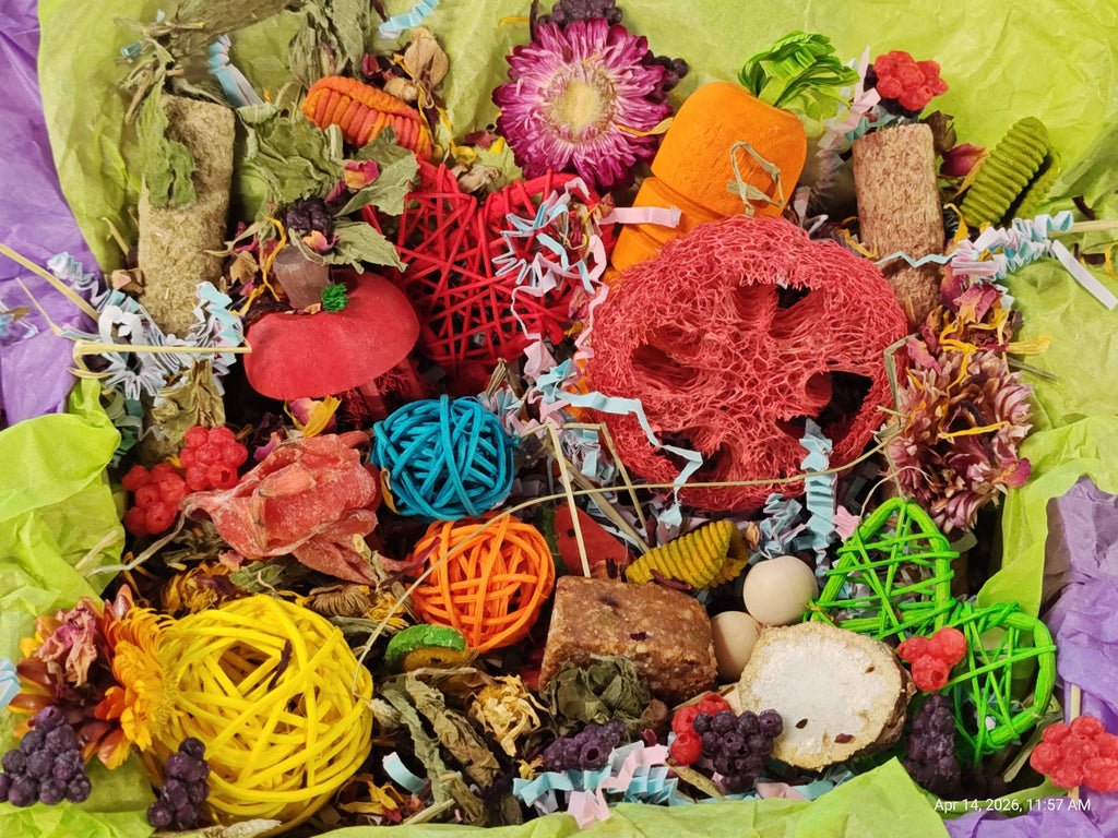 Colorful assortment of decorative items including pumpkins, flowers, and textured objects on a green background.