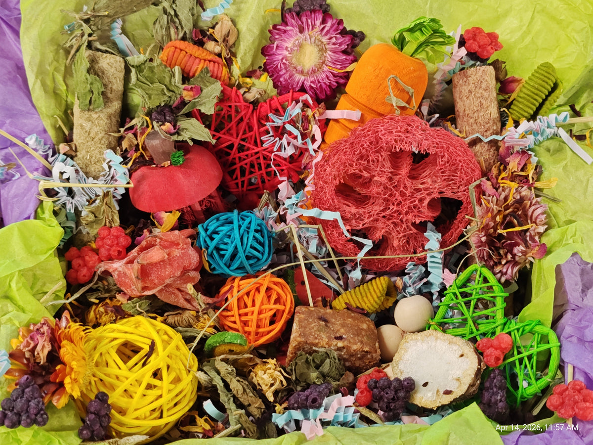 Colorful assortment of decorative items including pumpkins, flowers, and textured objects on a green background.