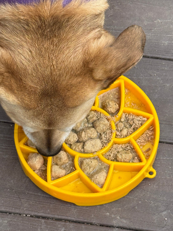 Sunflower eTray Shallow Slow Feeder