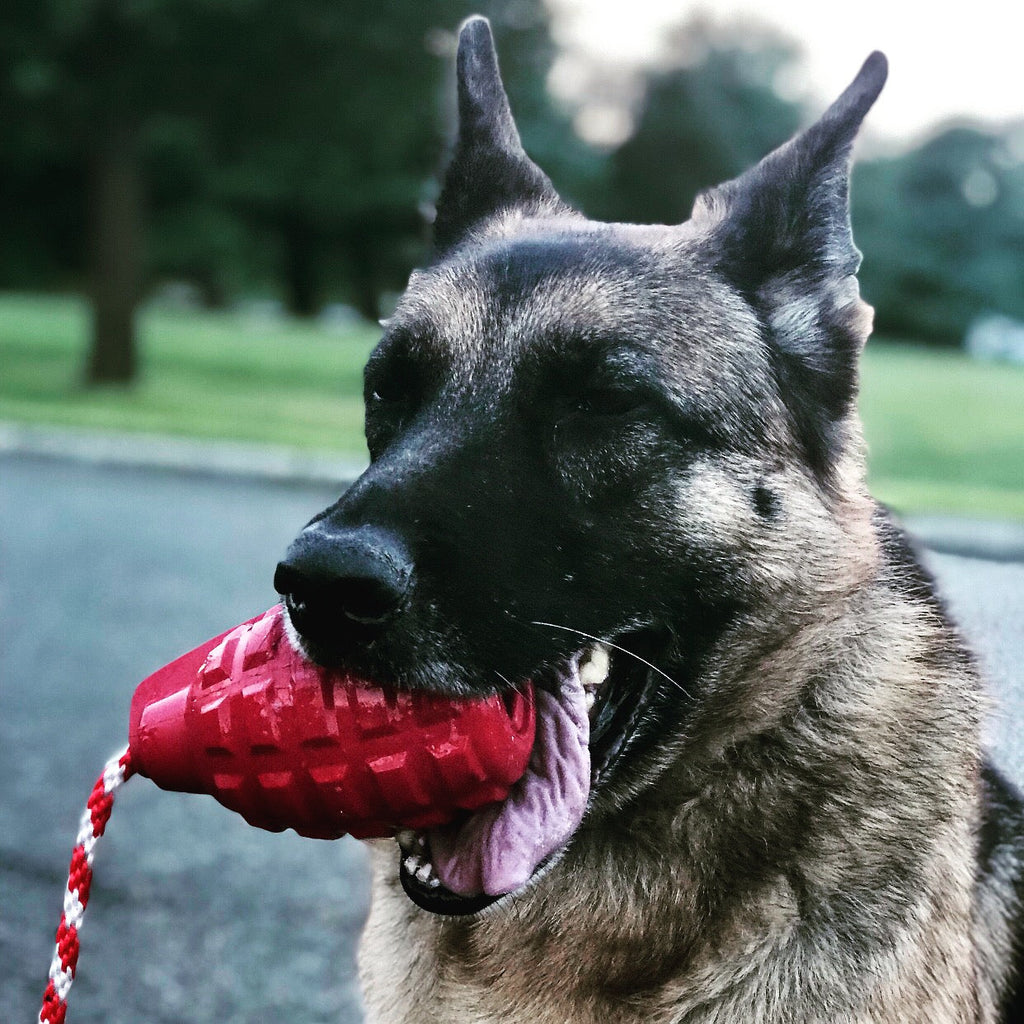 Large Grenade Rubber Dog Toy