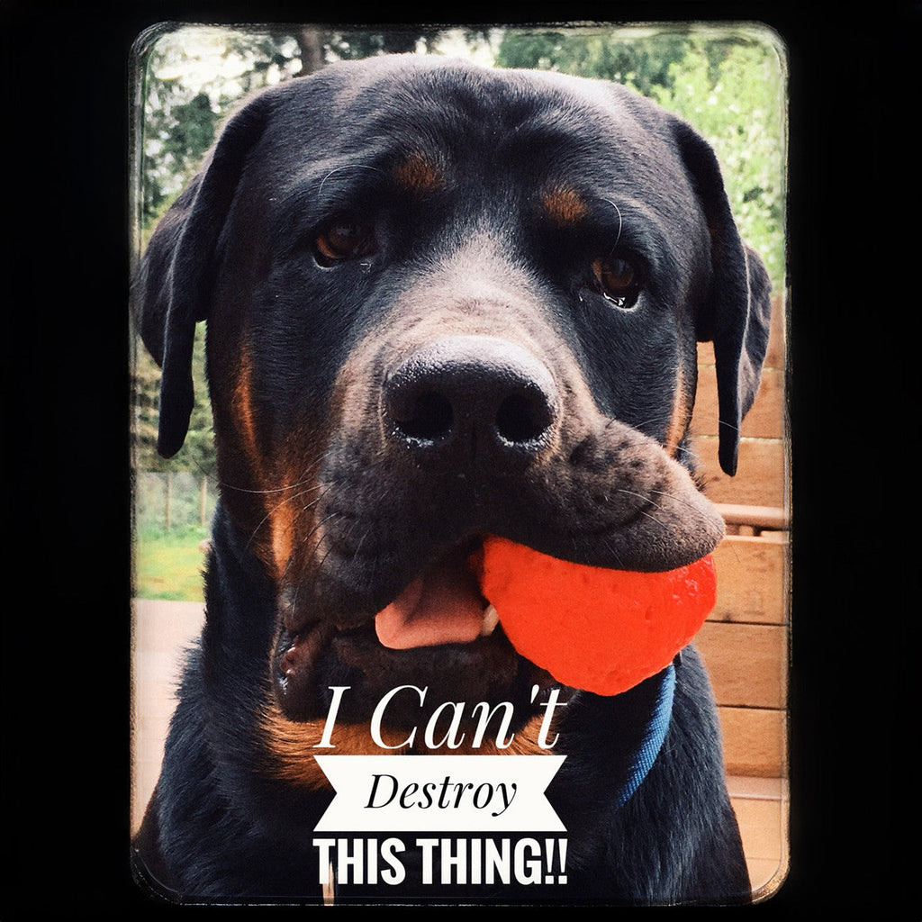 Natural Rubber Fetch Ball for Dogs