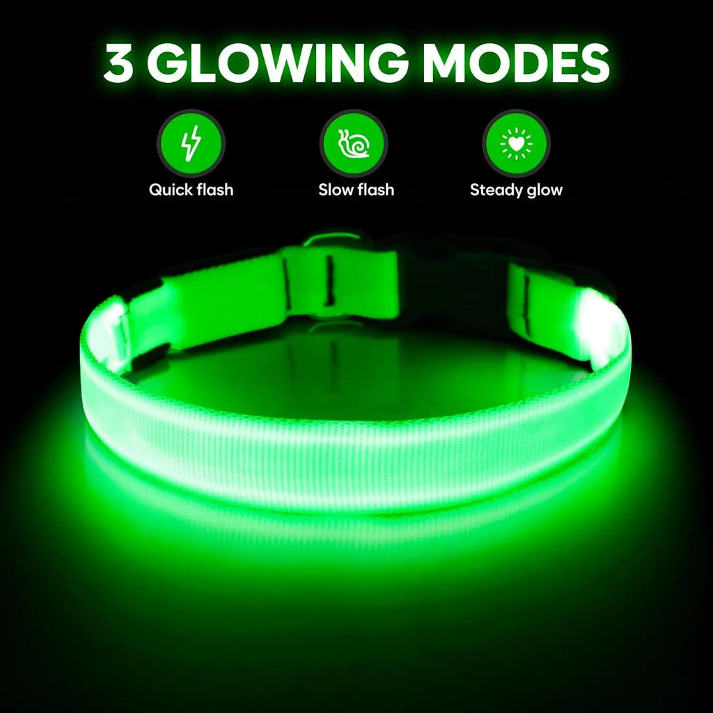 LED Dog Collar