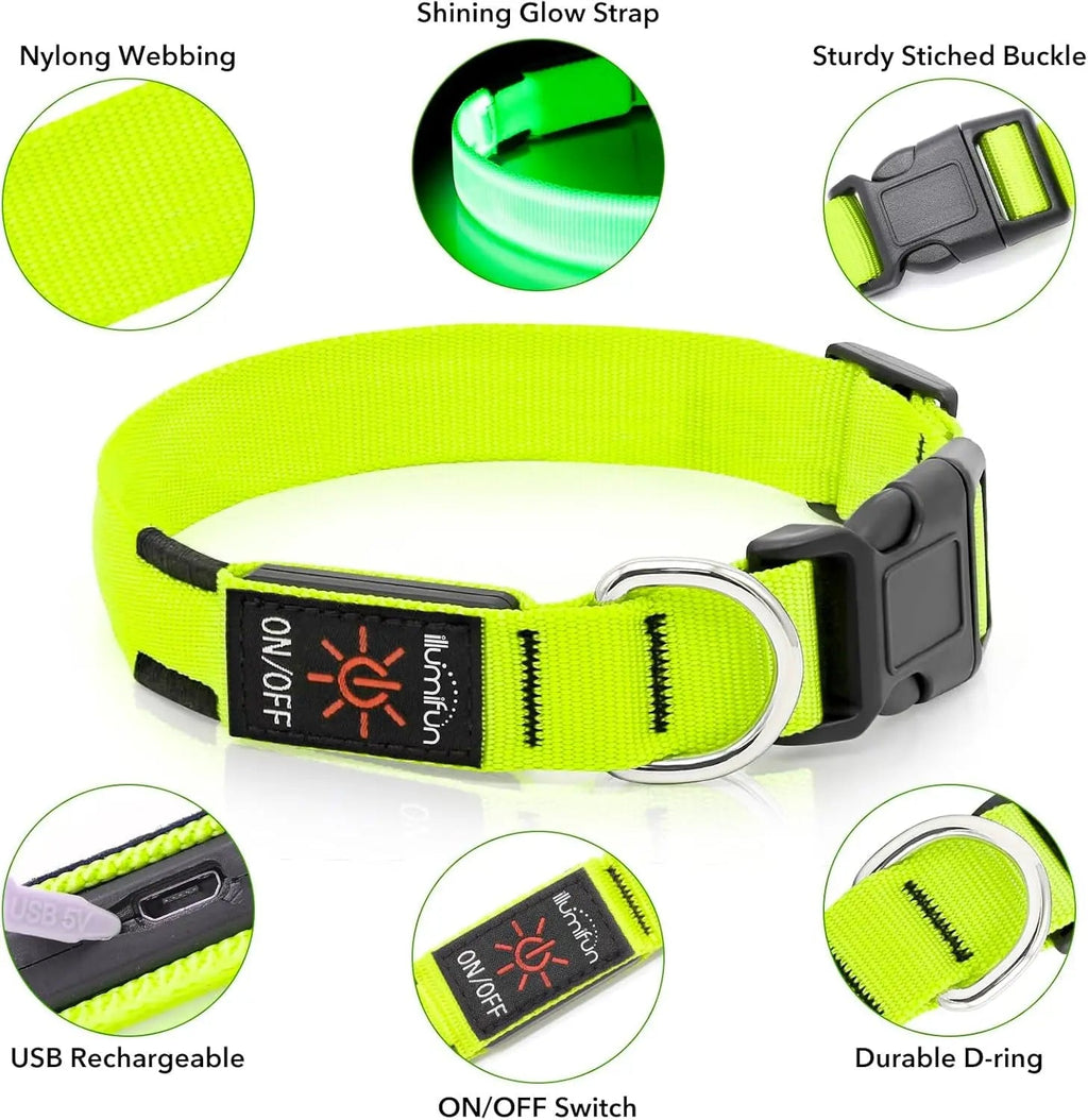 LED Dog Collar