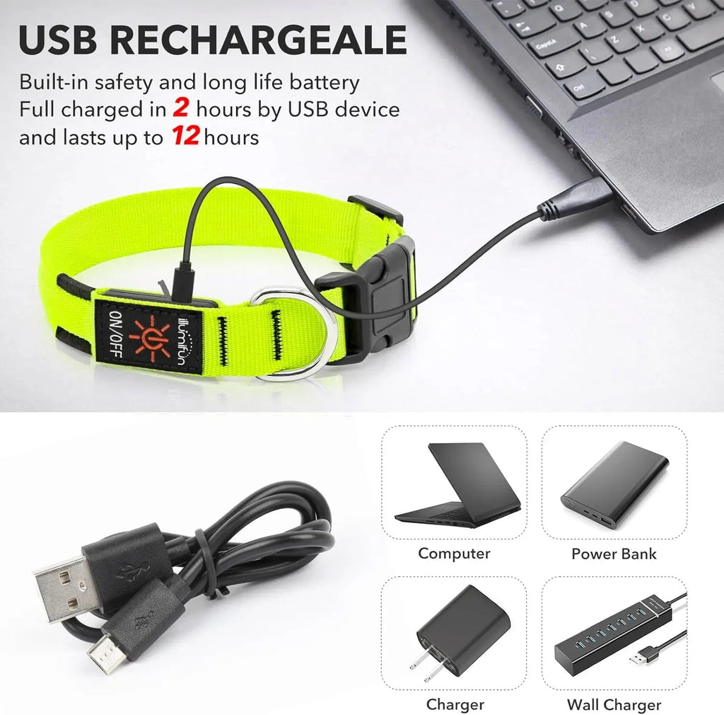 LED Dog Collar