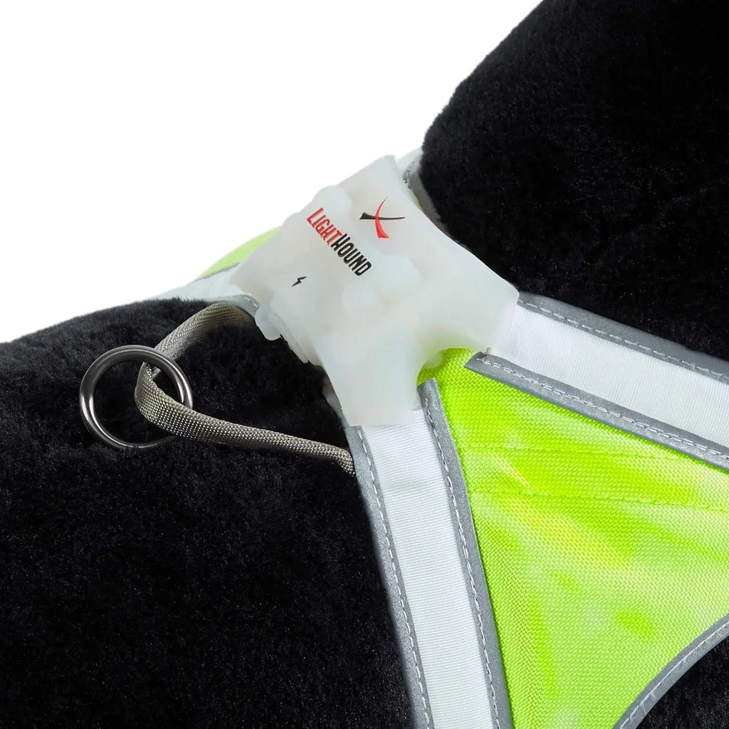 LED Light-Up Dog Harness