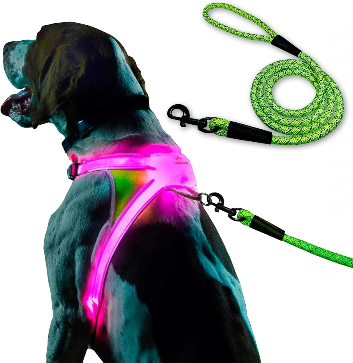 LED Light-Up Dog Harness