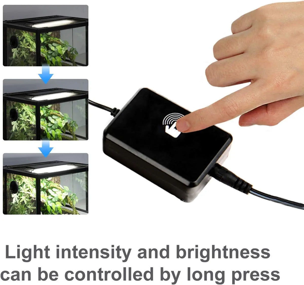 Ultra-Thin LED Terrarium Light