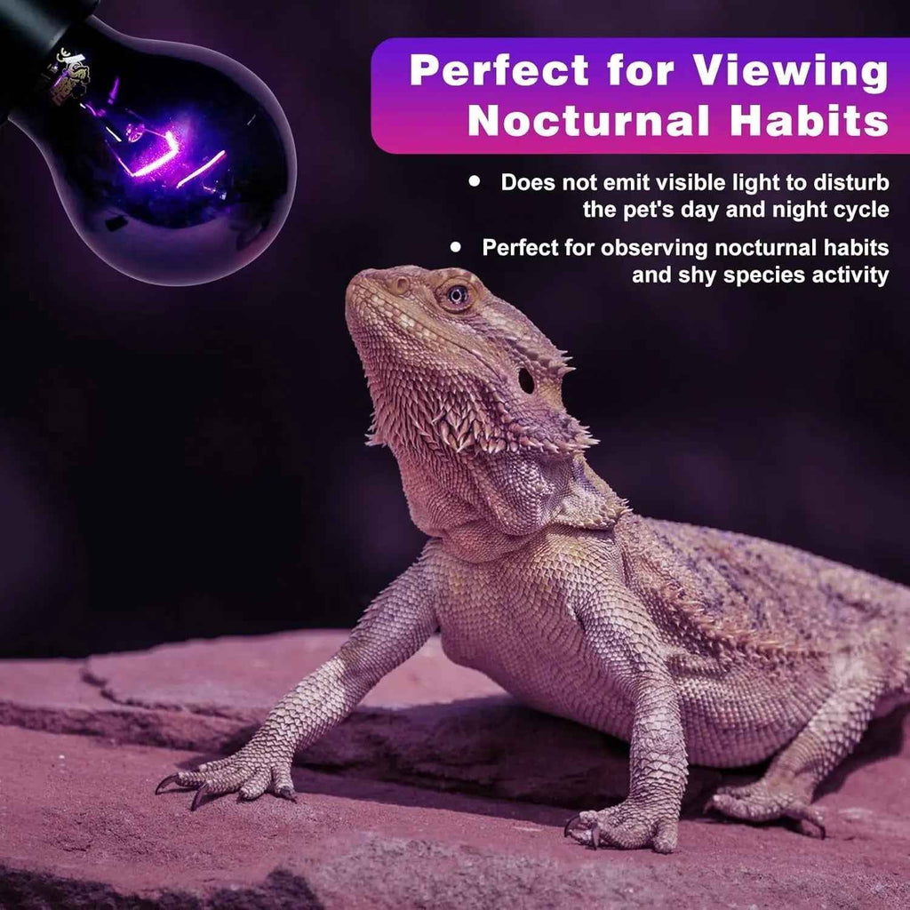 Reptile Night Heat Bulbs - 2-Pack