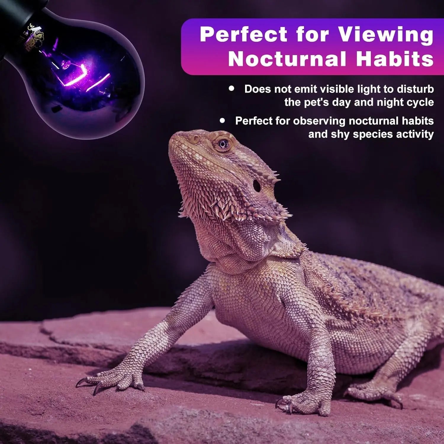 Reptile Night Heat Lamp Bulbs – 2-Pack UVA Infrared Heat Bulb for Terrariums | 50W & 75W | E26 Base