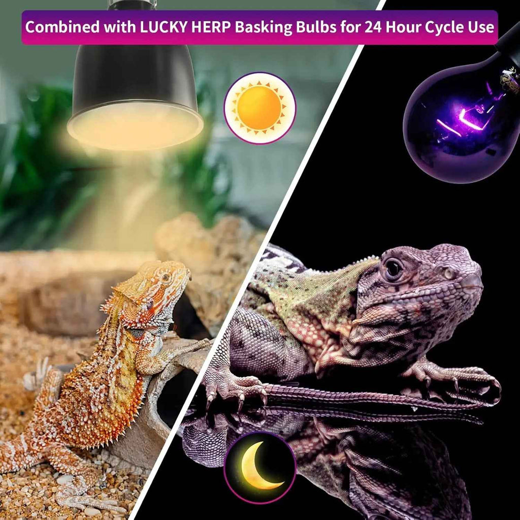 Two images showing reptiles with lighting equipment and text about LUCKY HERP Basking Bulbs.