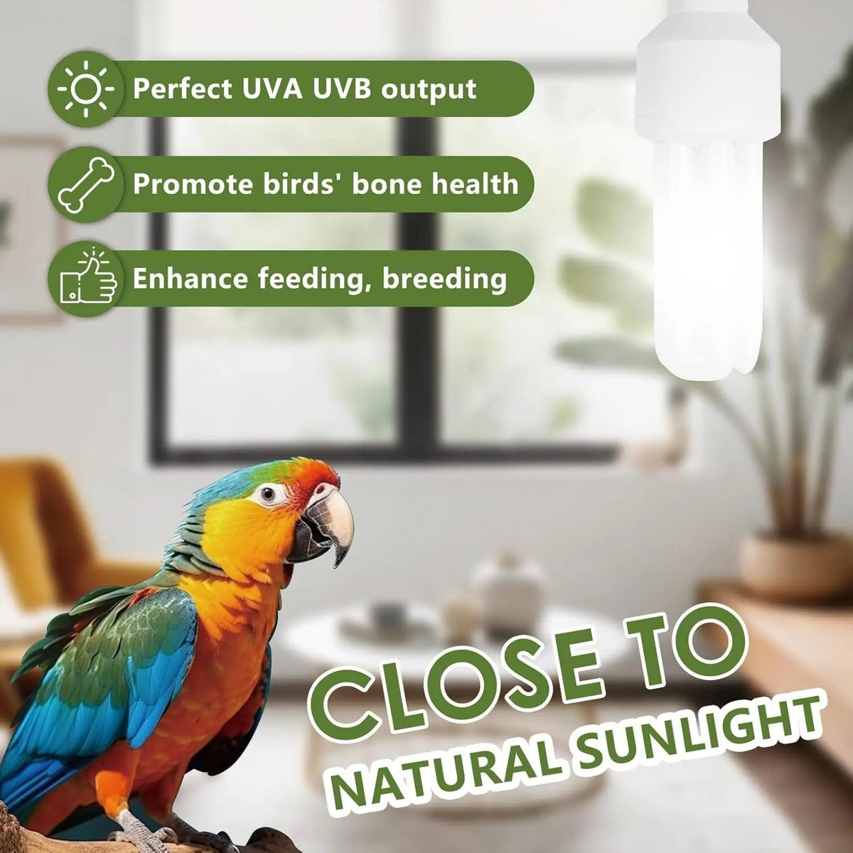 UVA UVB Bird Light Bulb