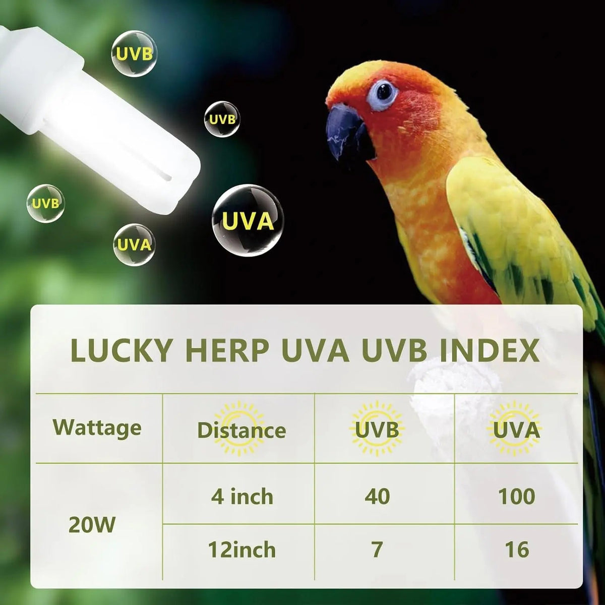 UVA UVB Bird Light Bulb