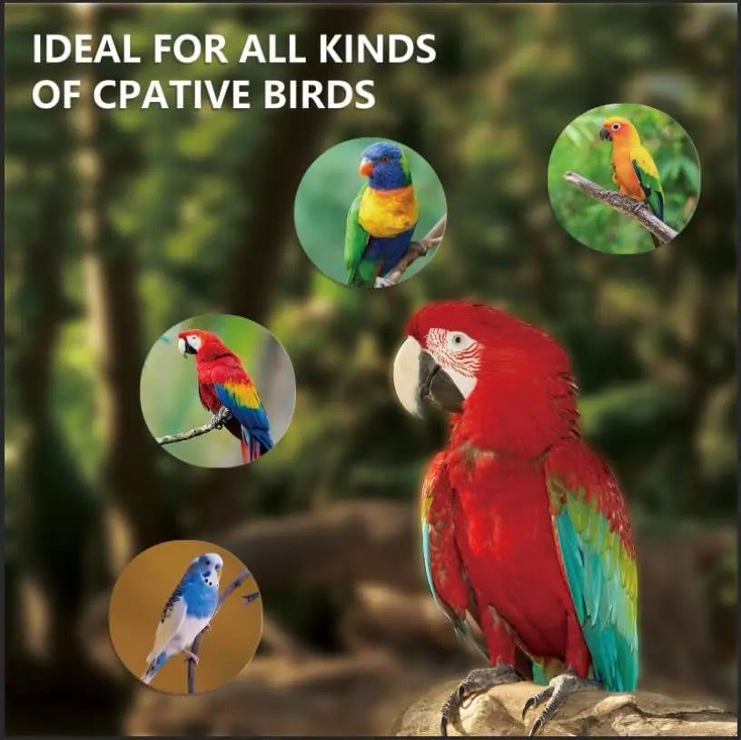 UVA UVB Bird Light Bulb