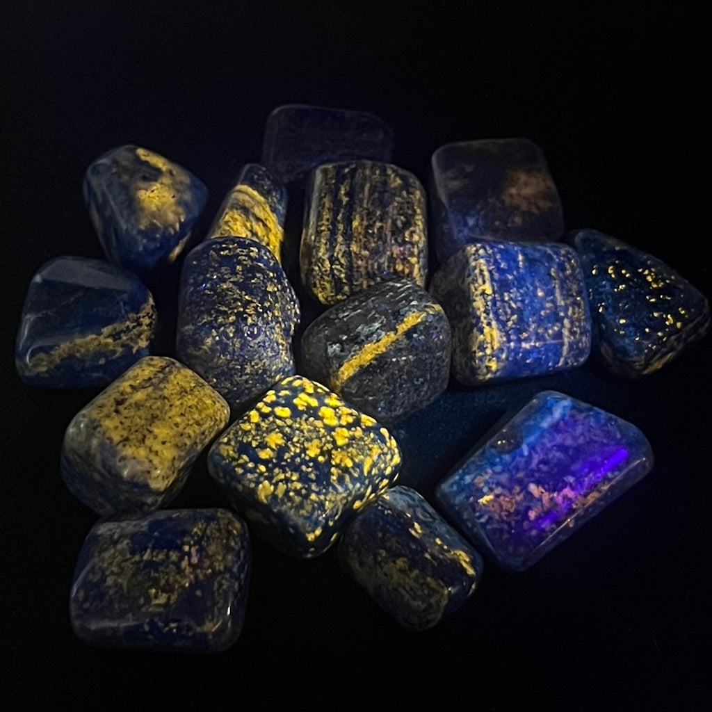 Lapis lazuli tumbled stones under UV lighting showing bright yellow and orange reactive areas against dark blue surfaces.
