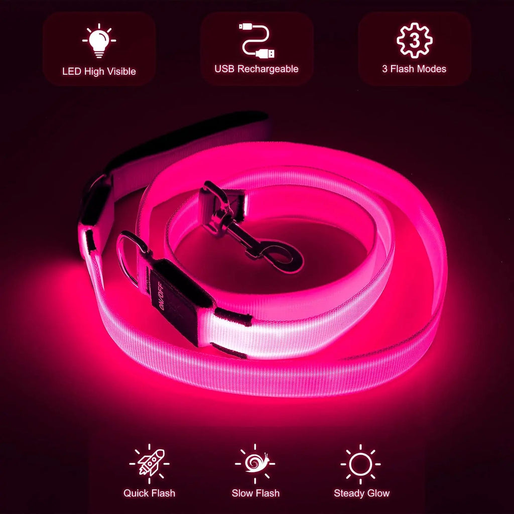 LED Light-Up Dog Leash