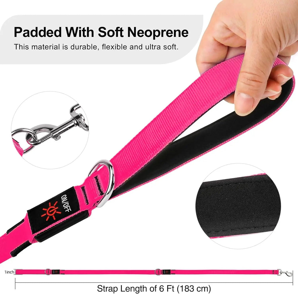 LED Light-Up Dog Leash