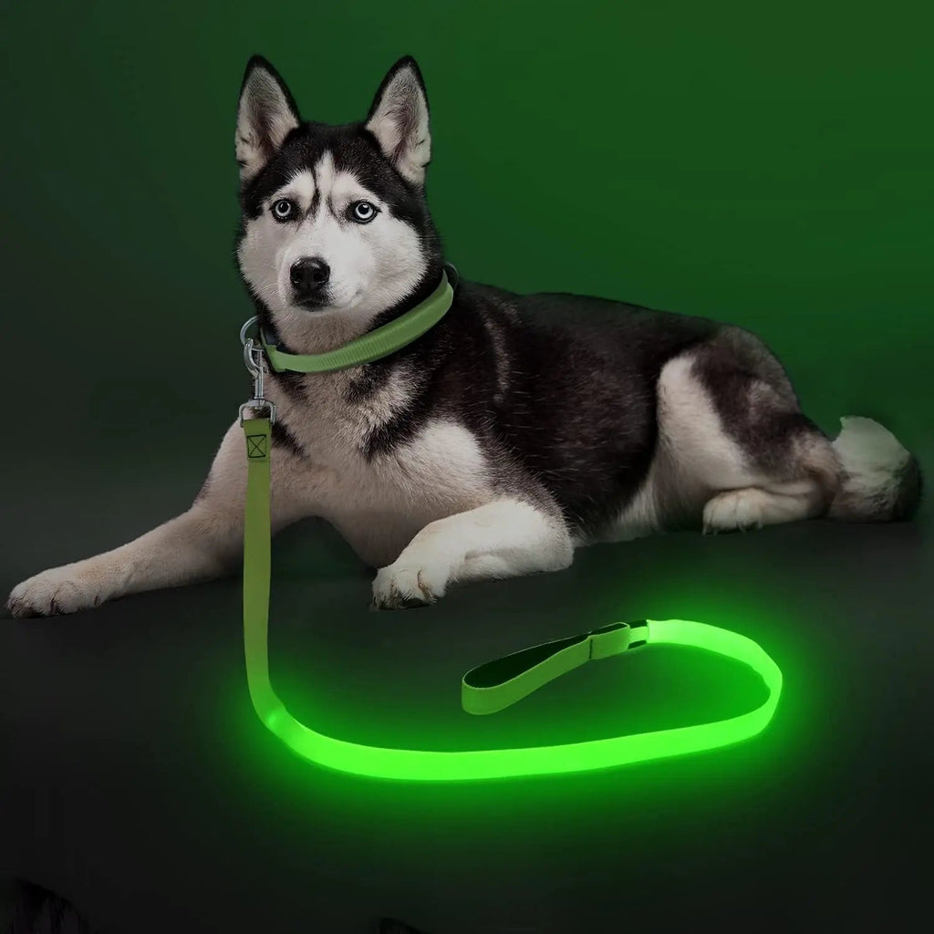 LED Light-Up Dog Leash