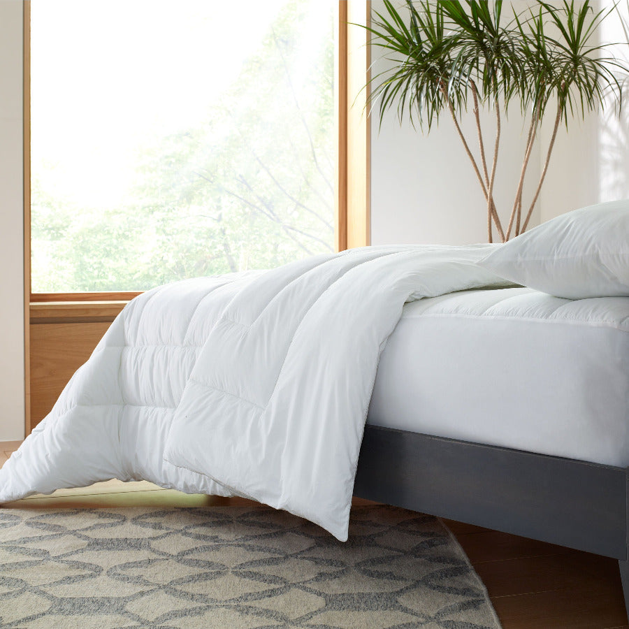 All-Season Comforter
