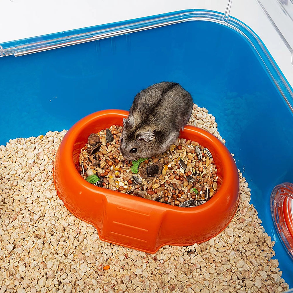 Small animal, likely a hamster, eating from an orange bowl filled with food in a clear enclosure.
