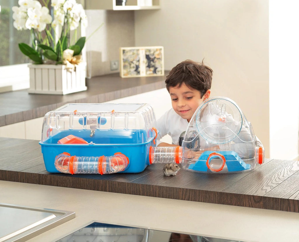 Child playing with a transparent pet carrier on a kitchen counter