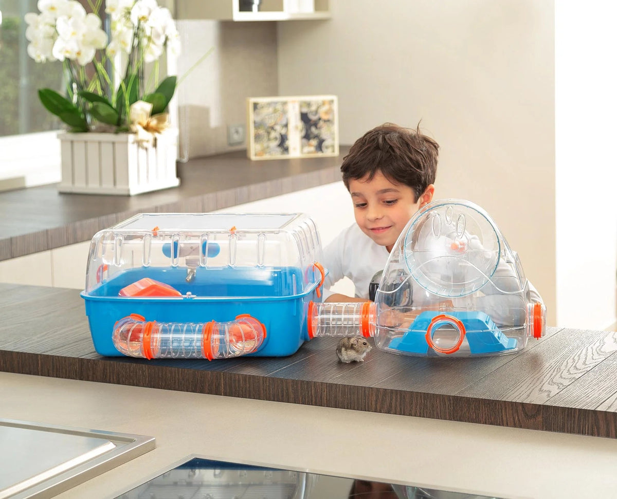 Child playing with a transparent pet carrier on a kitchen counter