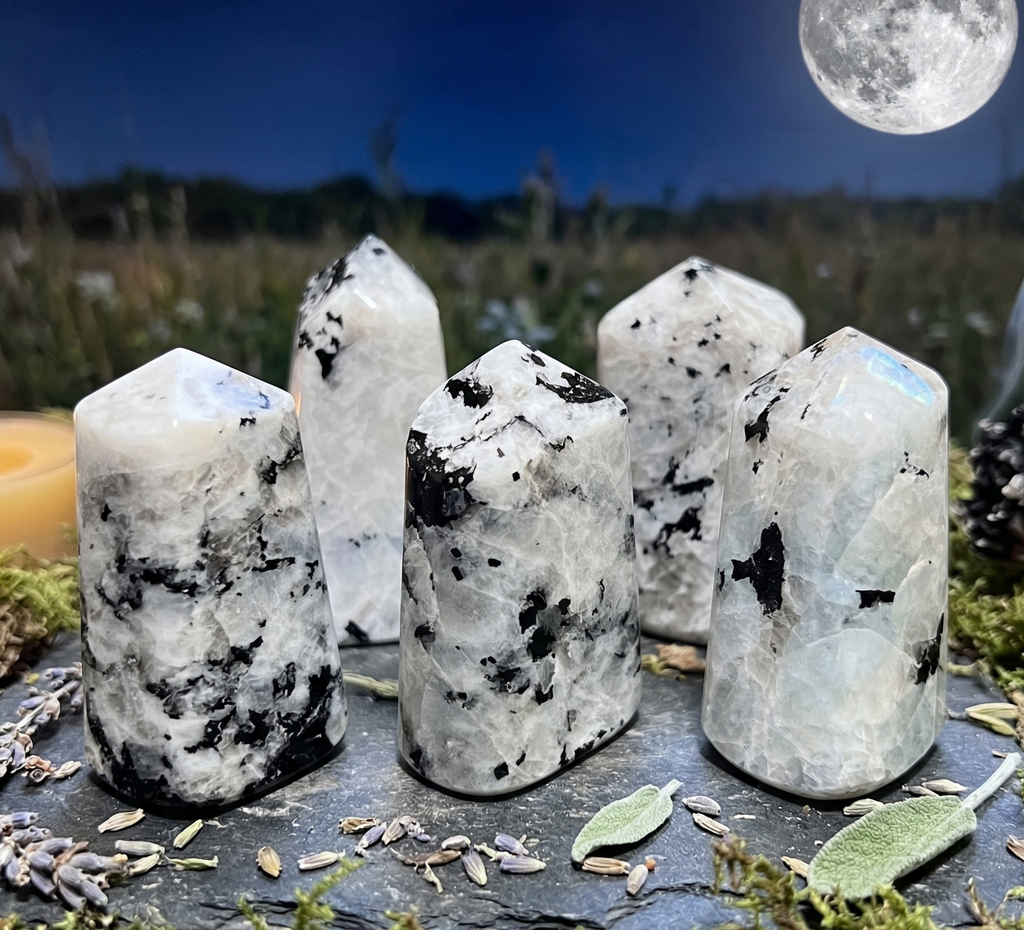 Five white rainbow moonstone point towers with dark markings displayed among herbs against a moonlit backdrop.
