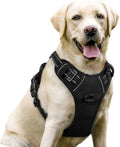 No-Pull Dog Harness