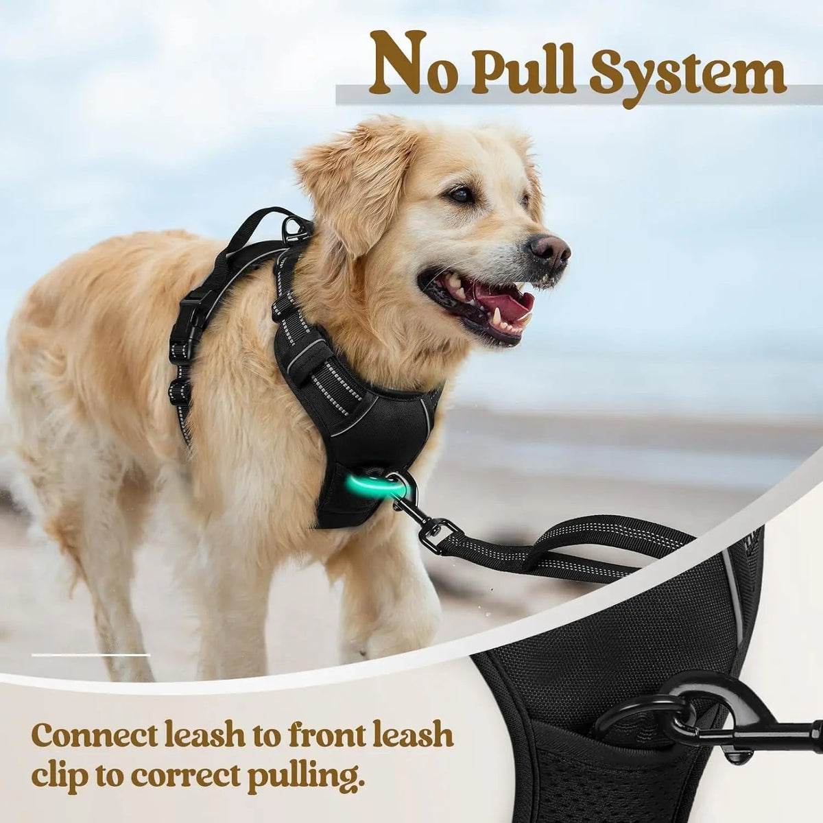No-Pull Dog Harness