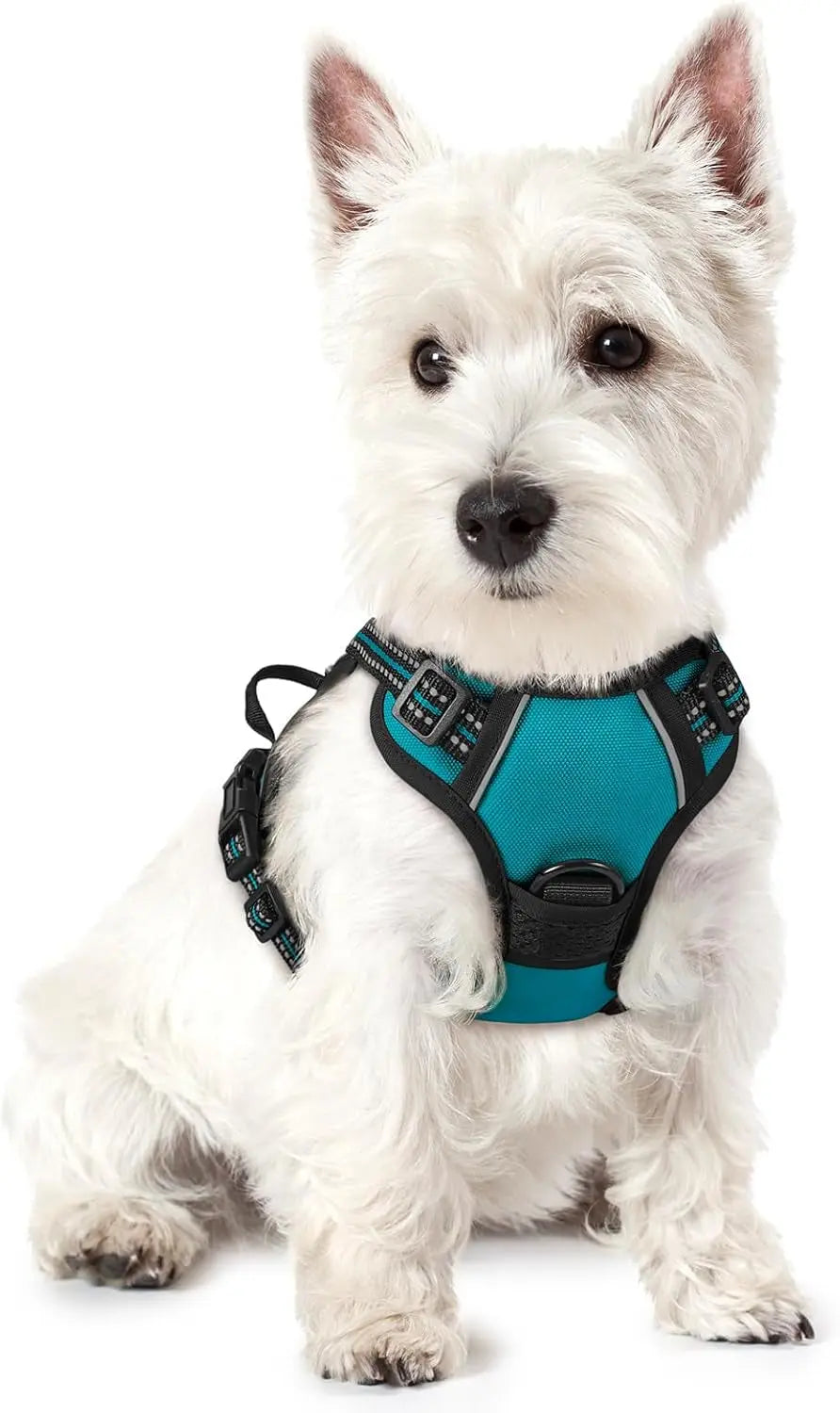 No-Pull Dog Harness