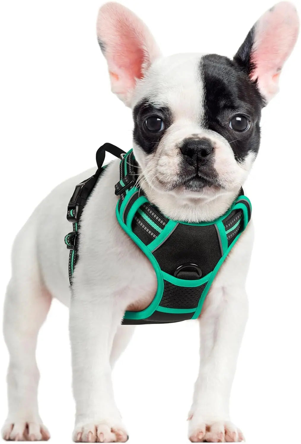 No-Pull Dog Harness