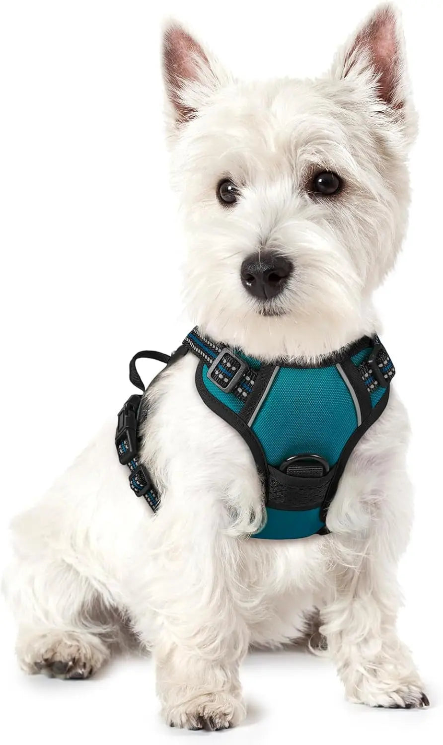 No-Pull Dog Harness