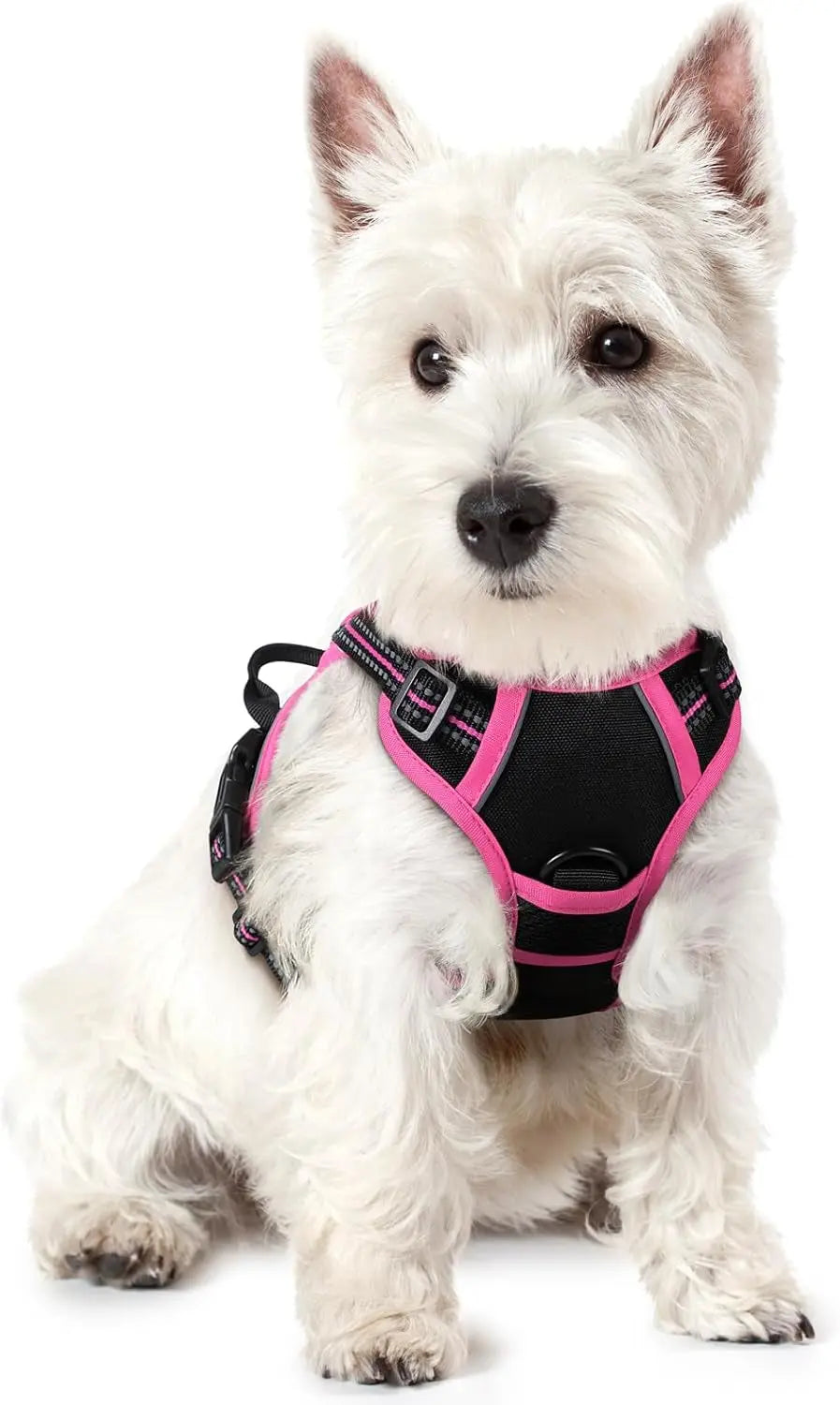 No-Pull Dog Harness