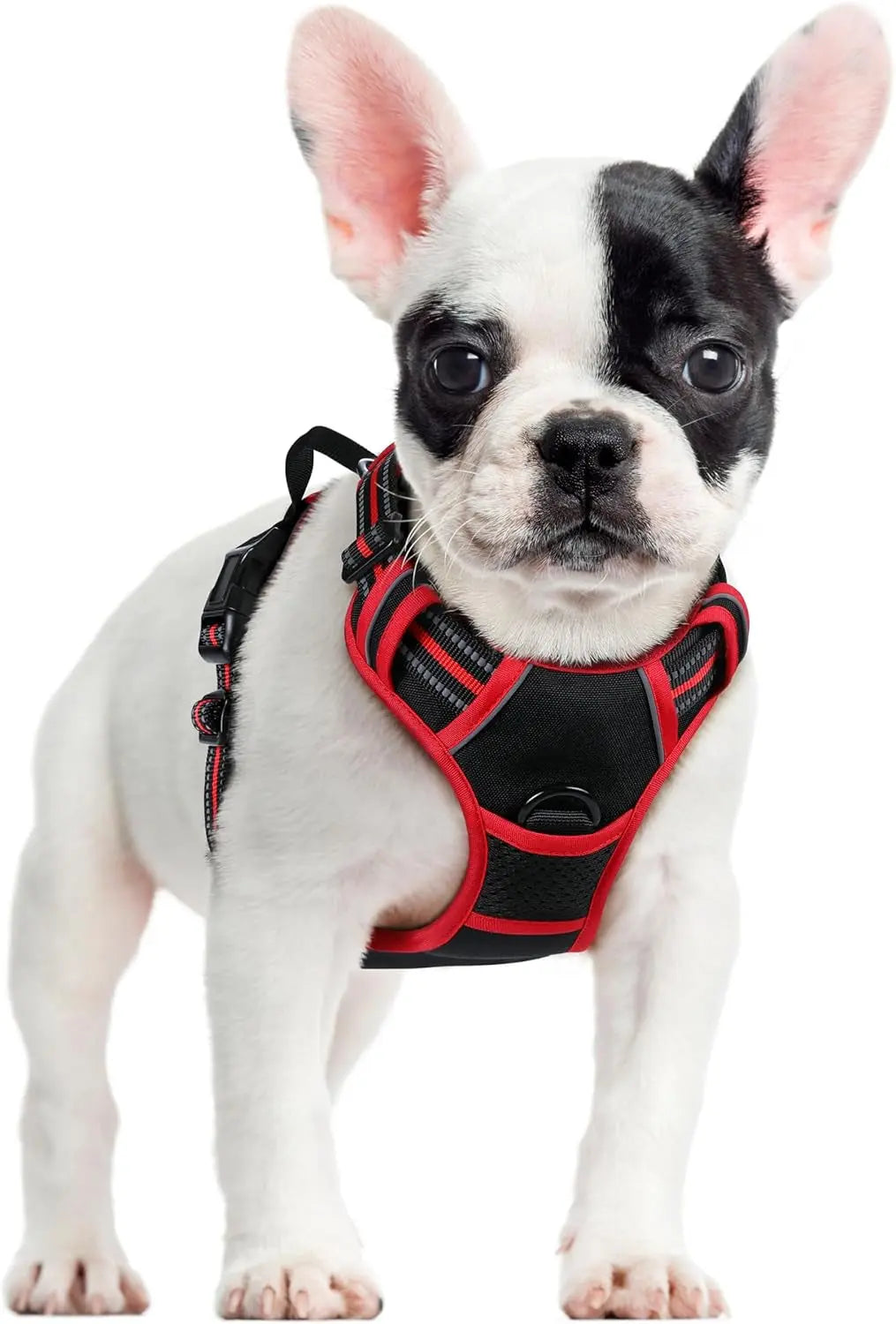 No-Pull Dog Harness
