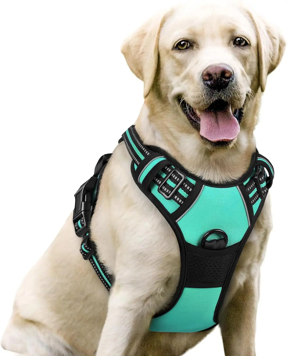 No-Pull Dog Harness