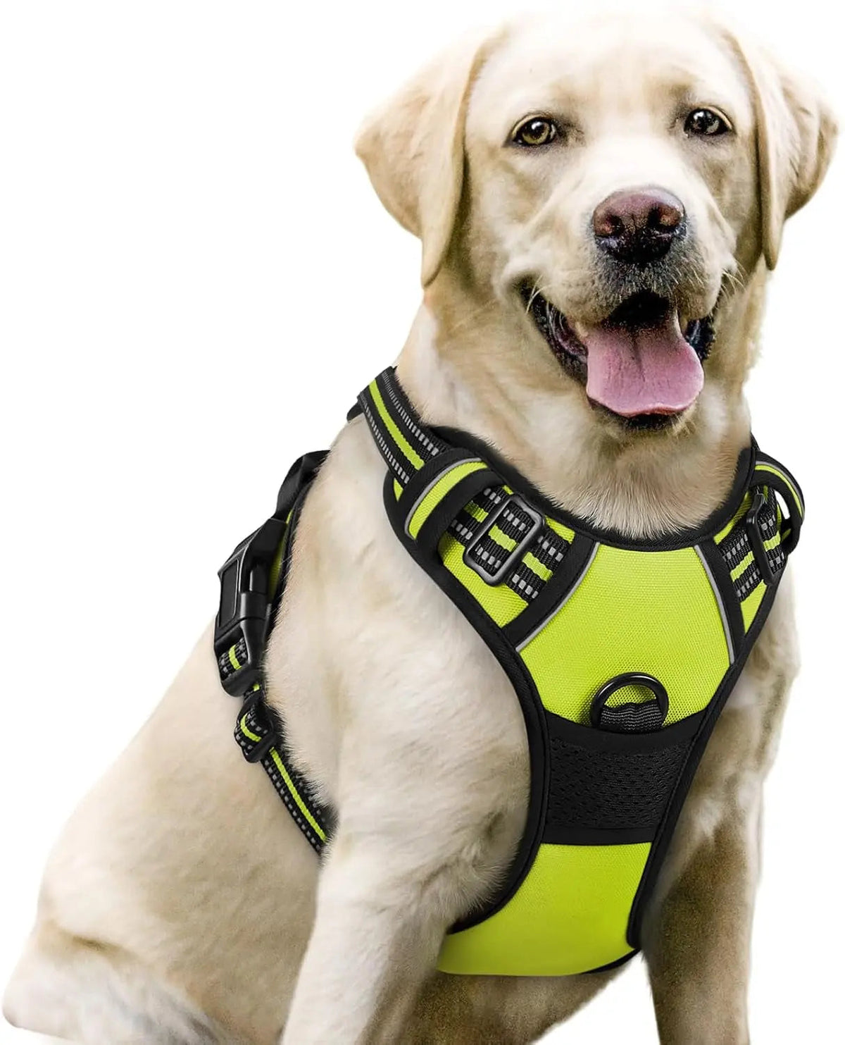 No-Pull Dog Harness