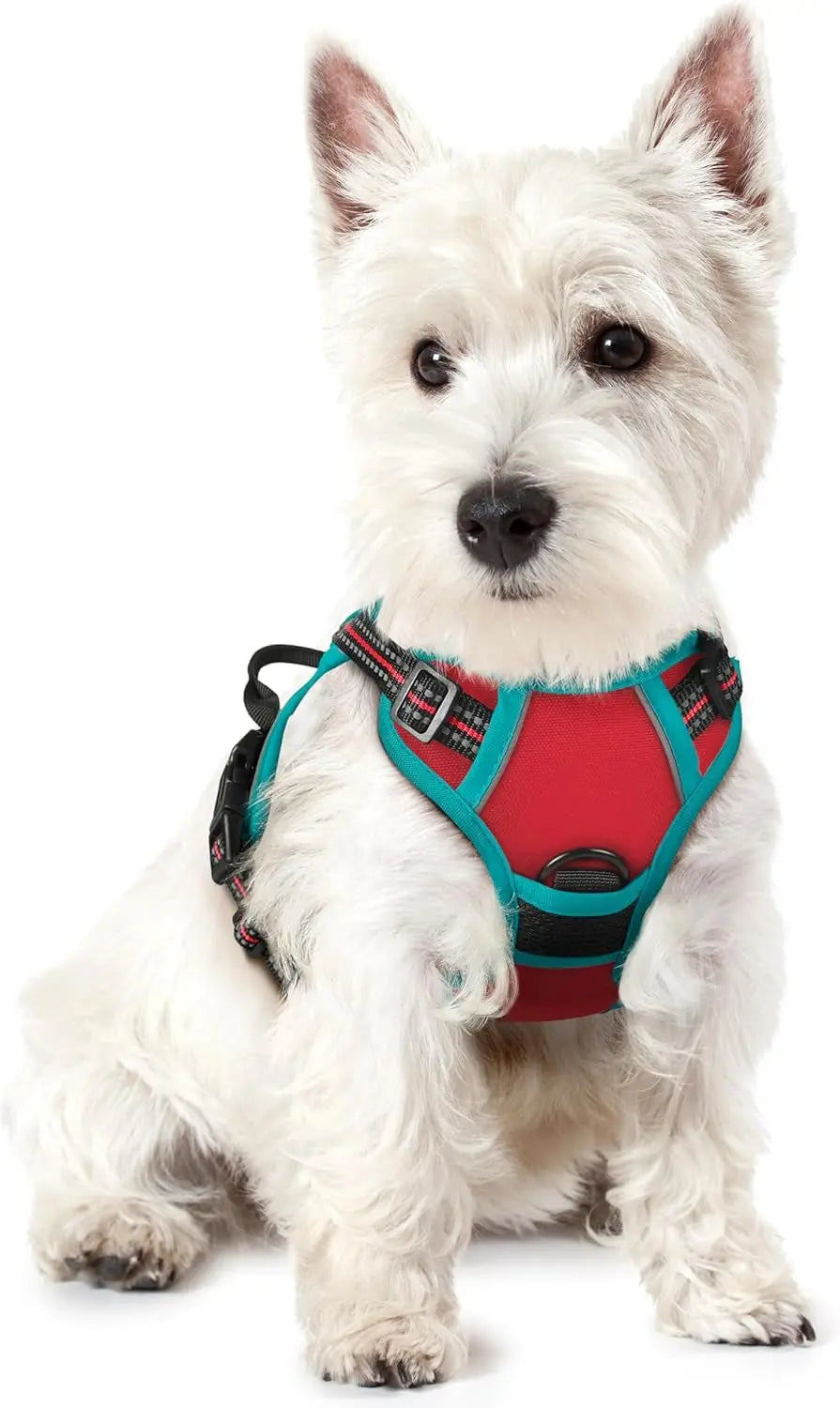 No-Pull Dog Harness