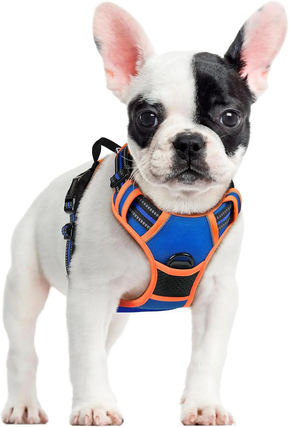 No-Pull Dog Harness