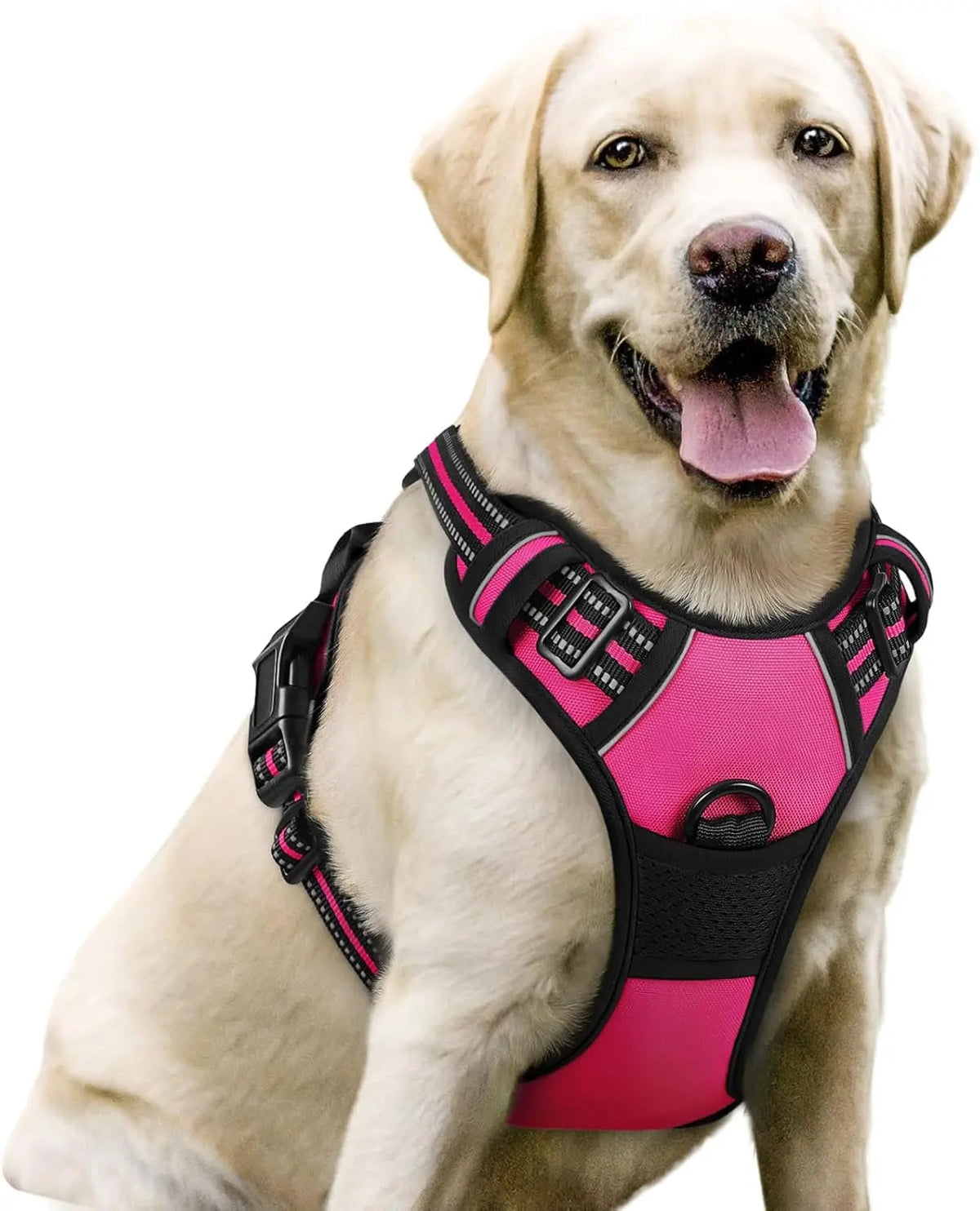 No-Pull Dog Harness