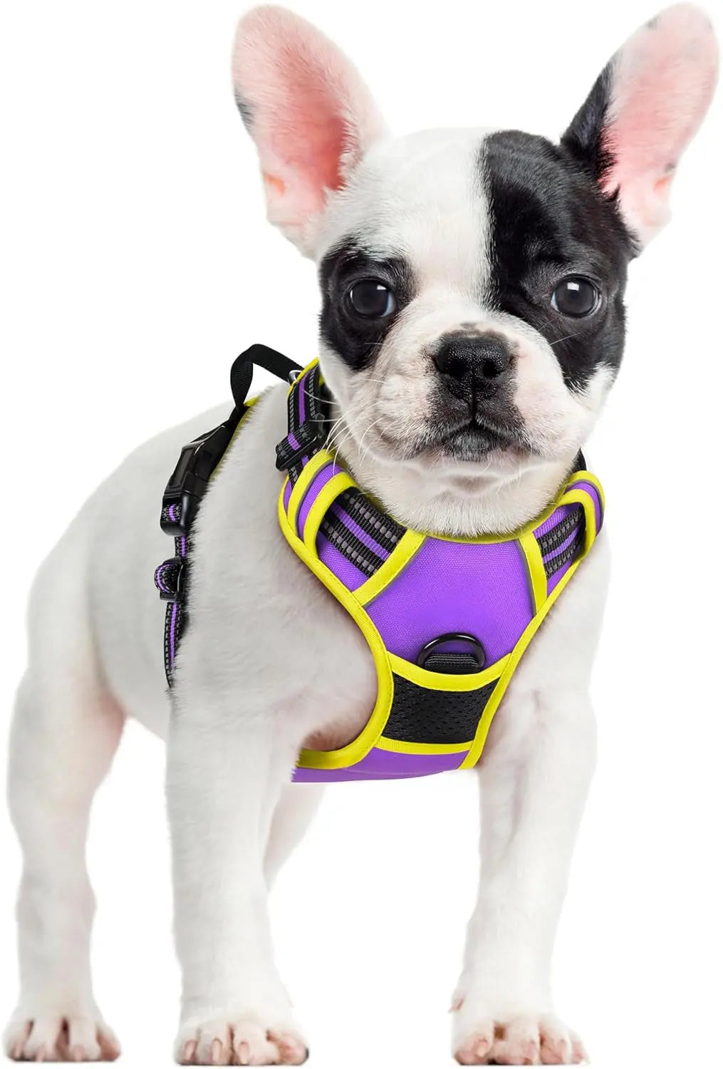 No-Pull Dog Harness