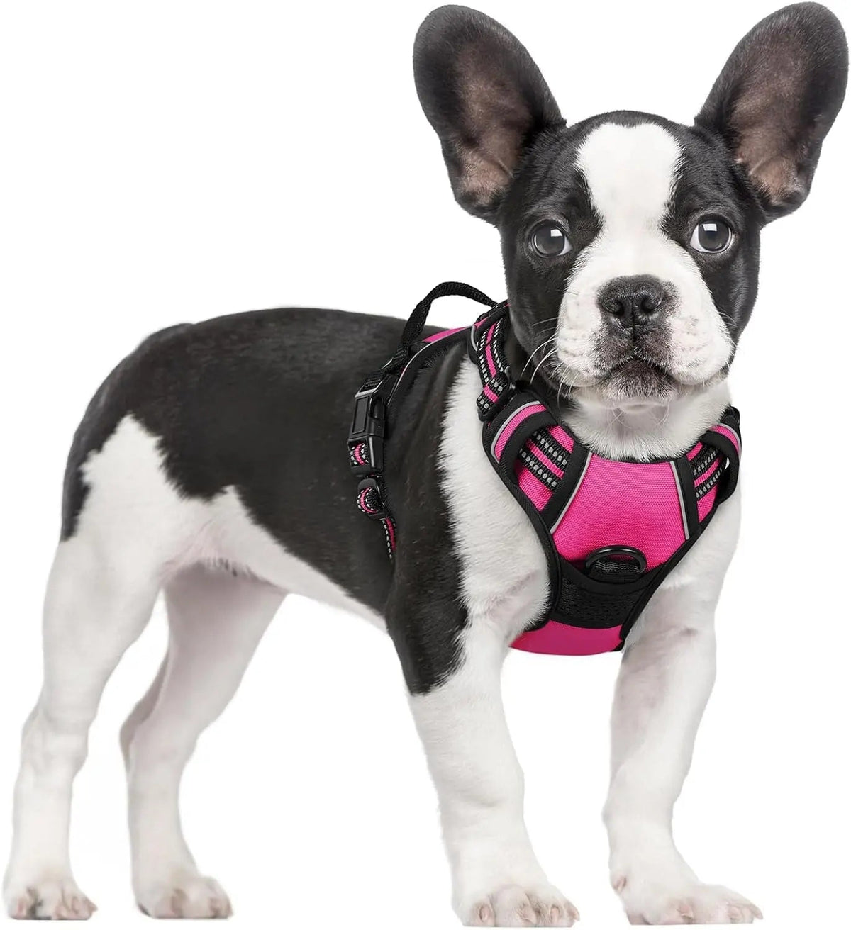 No-Pull Dog Harness