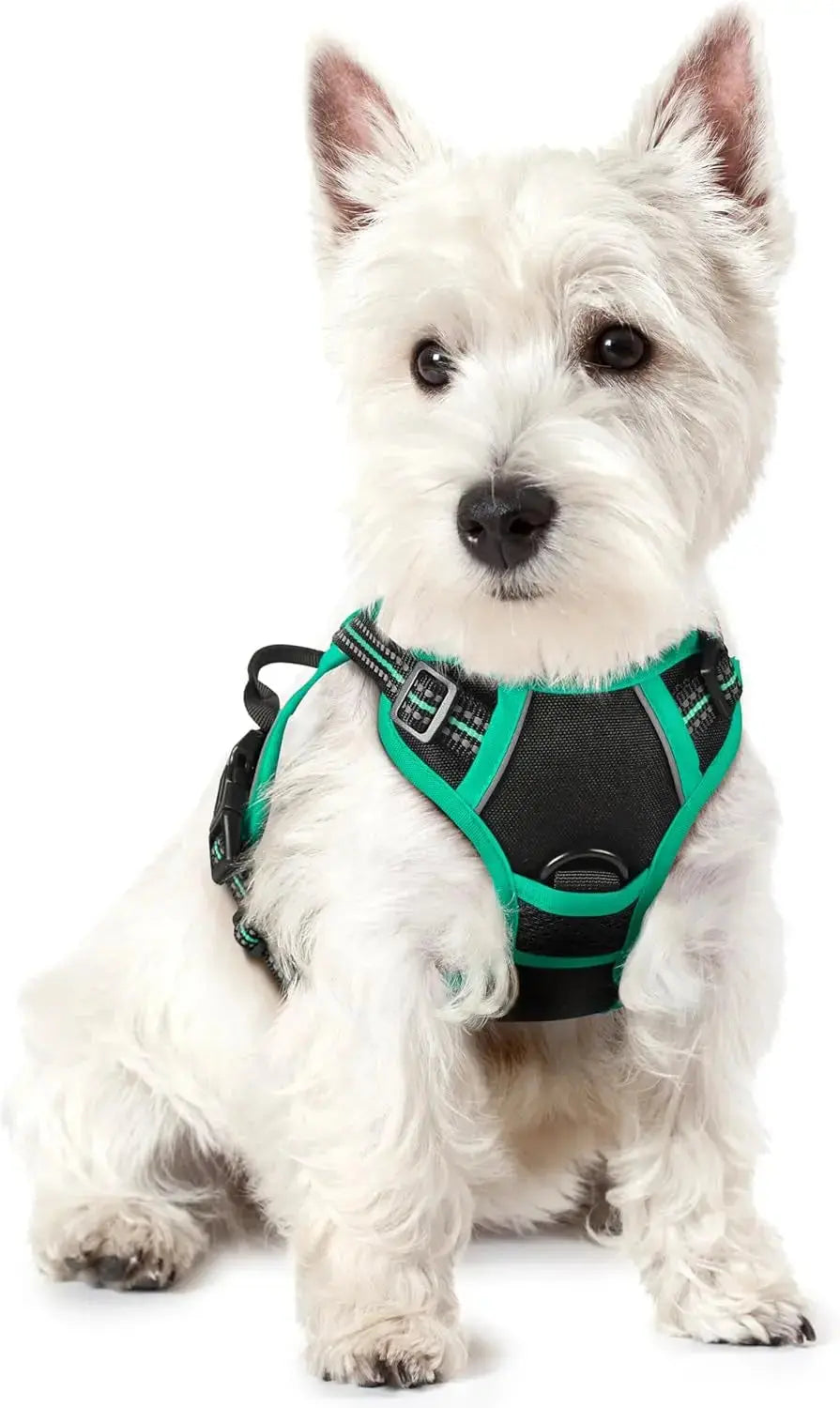 No-Pull Dog Harness