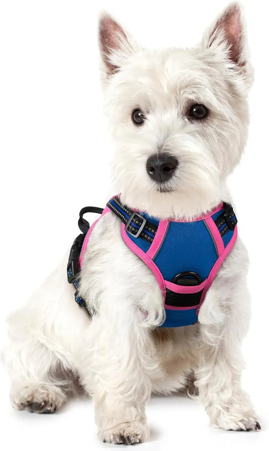 No-Pull Dog Harness