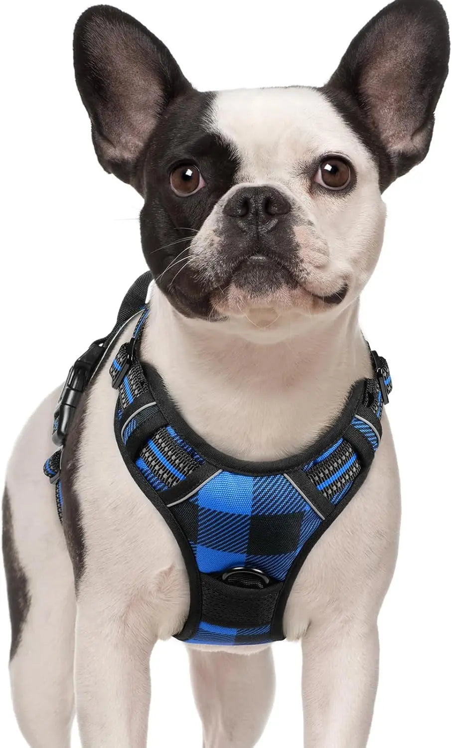 No-Pull Dog Harness