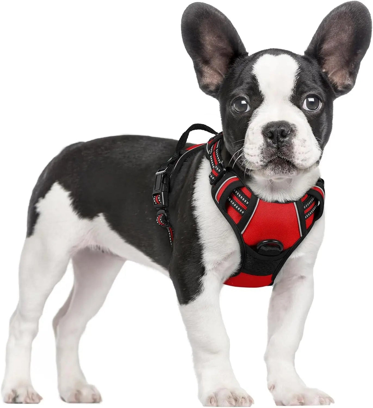 No-Pull Dog Harness
