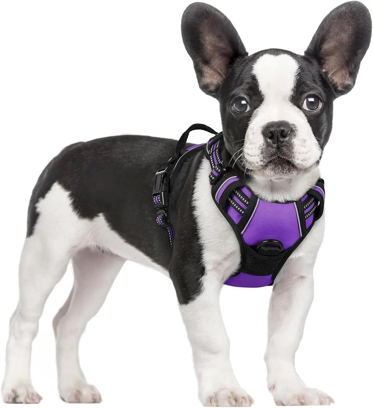 No-Pull Dog Harness